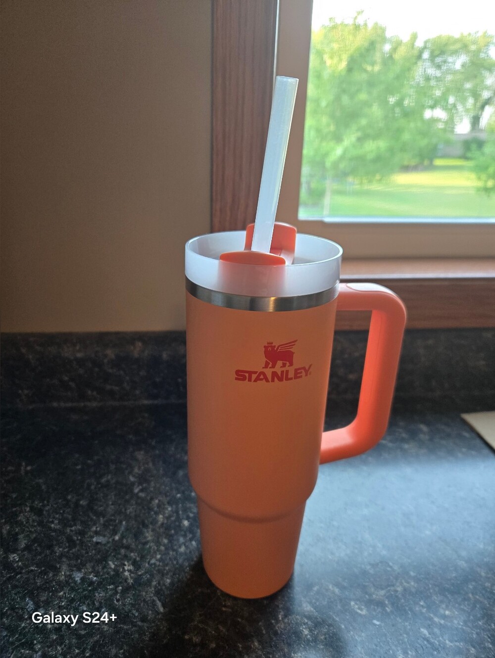 Stanley Orange, 30 Oz, Insulated Travel Mug with Handle and Straw
